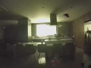 voyeurcam casa salsa fishtank